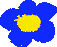 Petite fleur bleue