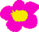 Petite fleur rose
